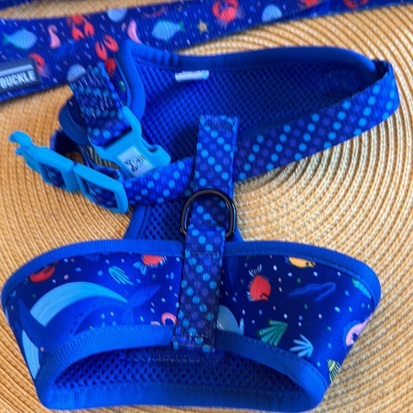 Beast and Buckle harness set - Picture 2 of 2